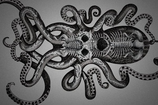 Kraken ссылка тг