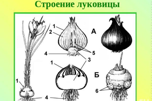 Кракен зеркало сегодня