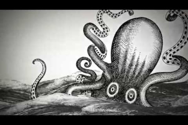 Kraken cc