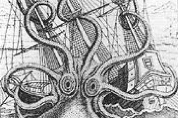Kraken это современный маркетплейс