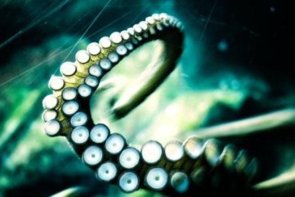 Kraken17at