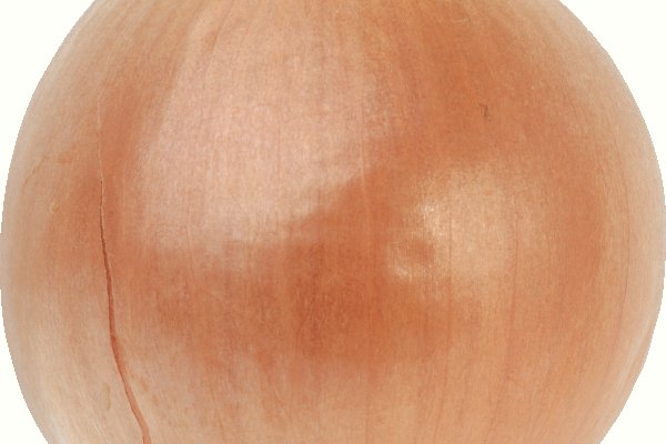 Kraken istand onion